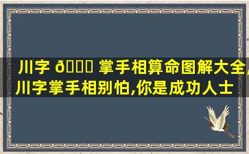 川字 💐 掌手相算命图解大全,川字掌手相别怕,你是成功人士 🌲 !